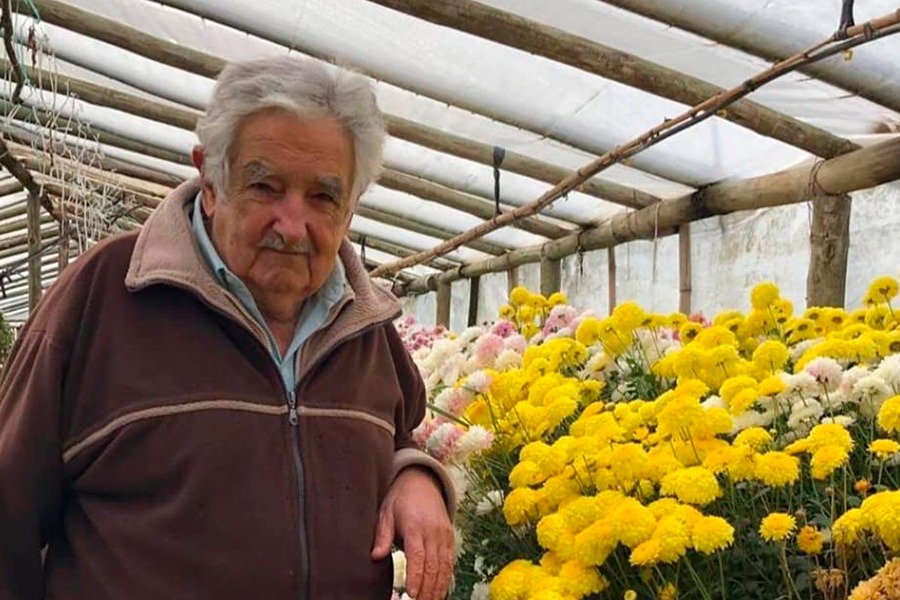 Uruguai em sete minutos: o jardim democrático de 'Pepe' Mujica